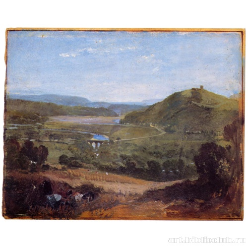 Устье Плима, вид со стороны Борингдон-парк