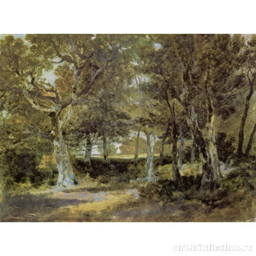 Чивнинг-парк.Кент