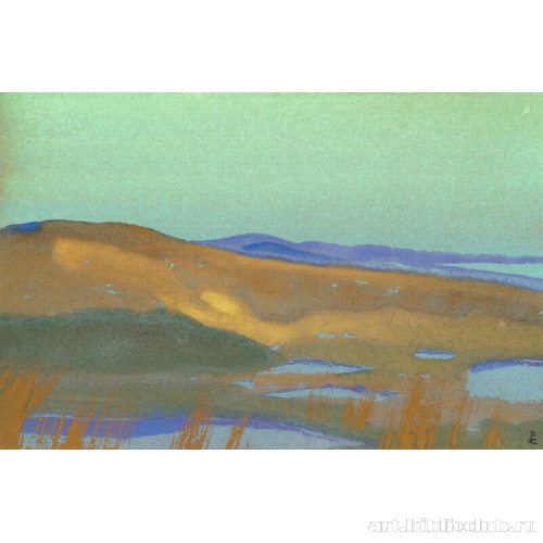 Болота Цайдама