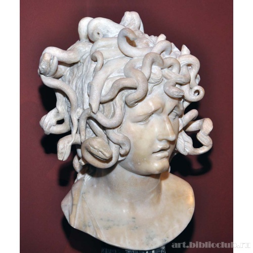 Голова медузы. Вид справа