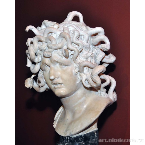 Голова медузы. Вид слева