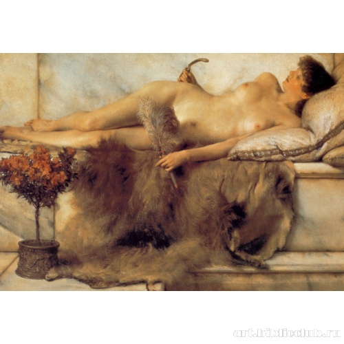 В тепидариуме