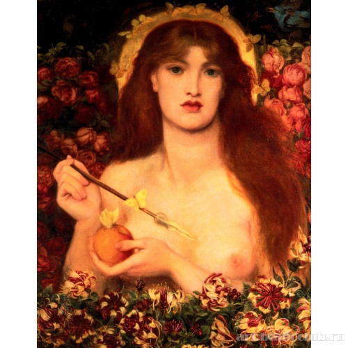 Венера, покровительница раздора (Verticordia)