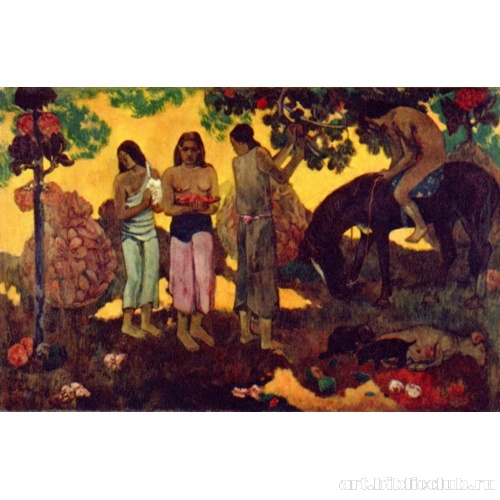 Рупе Рупе (Сбор плодов)