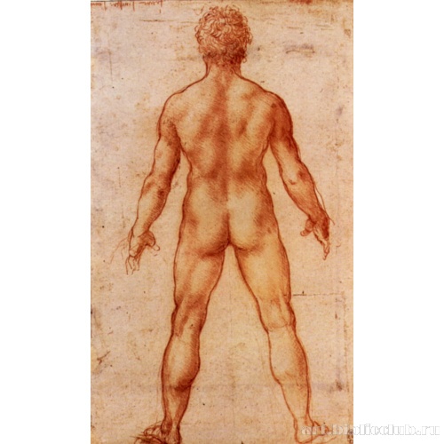 Обнаженная мужская фигура со спины