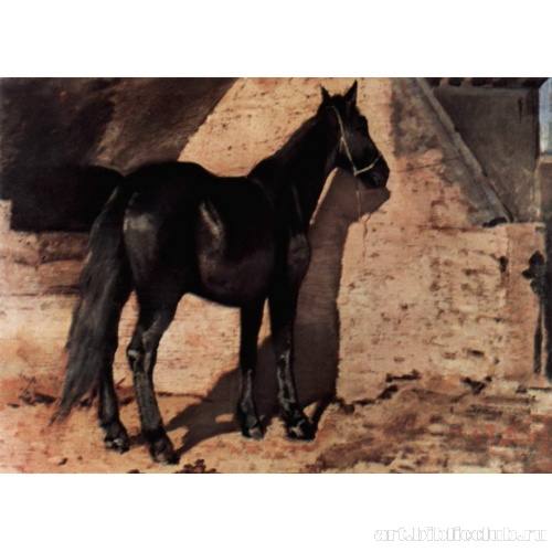 Черная лошадь на солнце