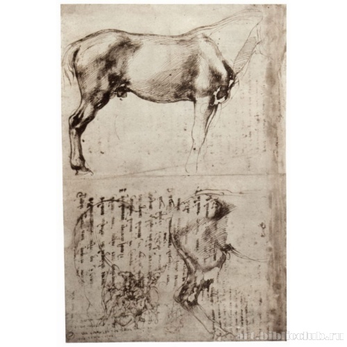 Лист этюдов. Конь и всадник