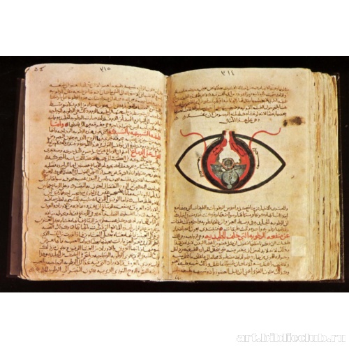 Анатомия глаза: иллюстрация к «Десяти трактатам о глазе»