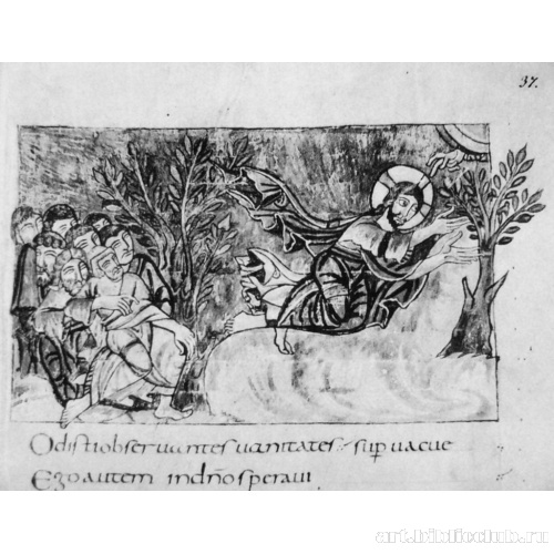 Псалом 30. Моление о Чаше