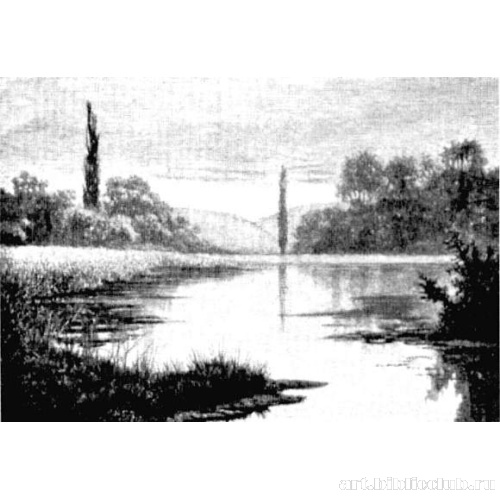 Туманное утро