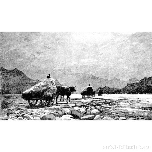 Долина Риона