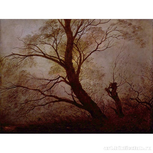 Деревья при лунном свете