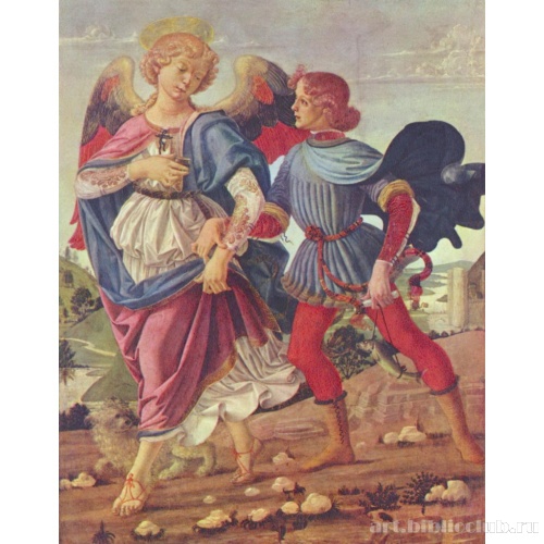 Молодой Товий