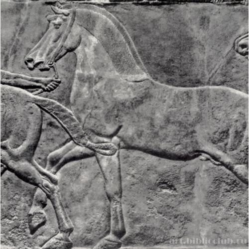 Рельеф из дворца Ашшурбанапала в Ниневии с изображением слуг, ведущих  коней